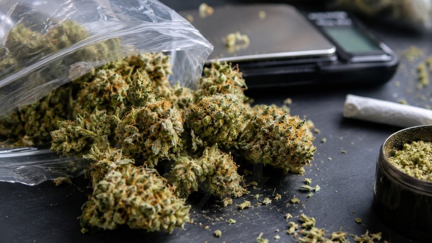 Narcoticabrigade pakt drugsverkoper met hasj, cocaïne en marihuana