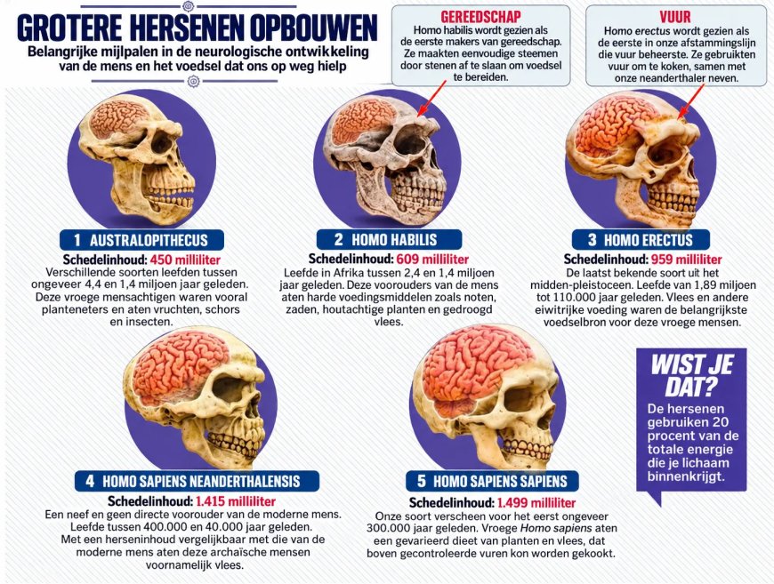 Wat als mensen nooit vuur hadden ontdekt?