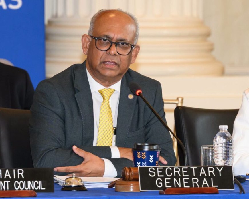 OAS-topman Ramdin: ‘Verdeeldheid en mondiale conflicten zetten Amerika’s onder druk’