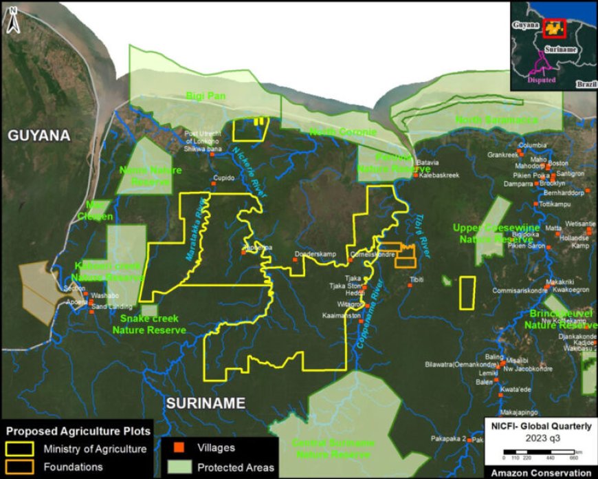 Groene NGO’s: ´Landbouwplan van mennonieten bedreigt ons regenwoud´
