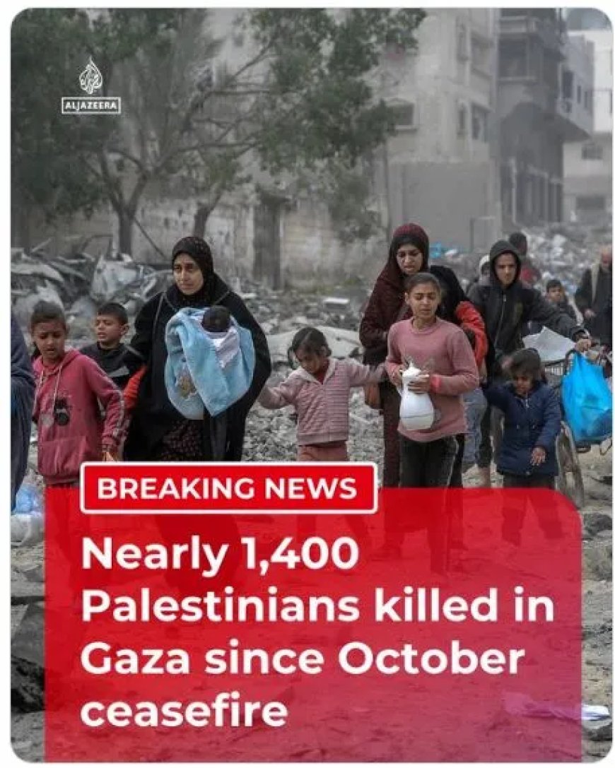 Meer doden  in Gaza