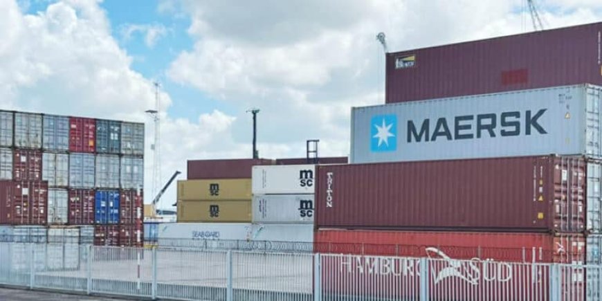 Importprocedures onder de loep na aangehouden container