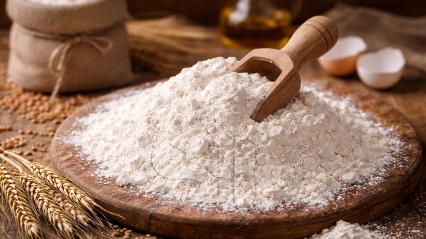 De Molen vreest dat goedkoop Turks meel lokale productie schaadt