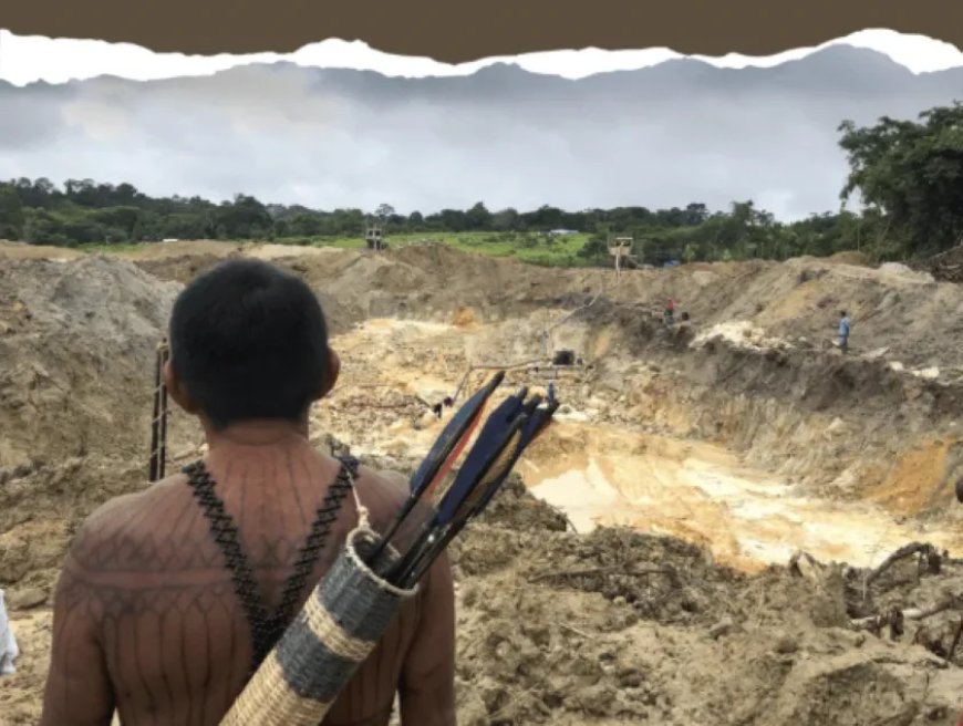 Goudwinning breidt zich het snelst uit op inheemse gronden in Braziliaanse Amazonegebied