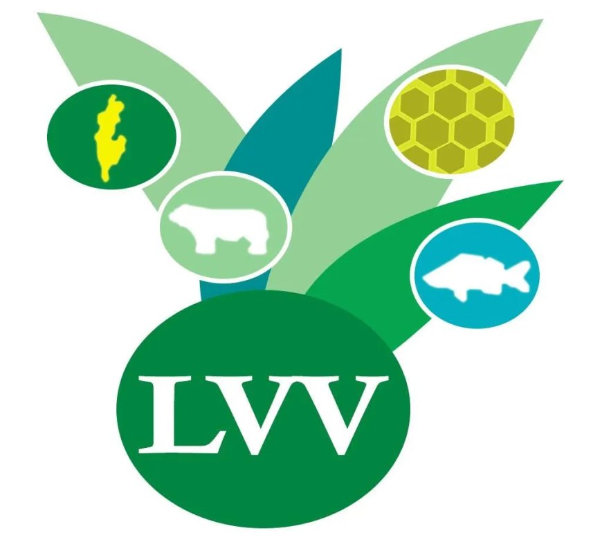 LVV waarschuwt voor verhoogde kippensterfte
