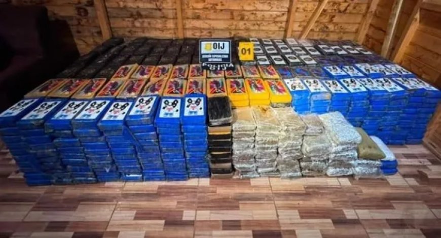 Bijna 500 arrestaties bij internationale actie tegen misdaad