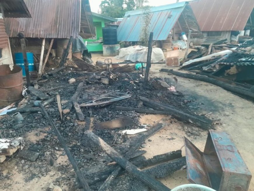 Rode haan kraait twee dagen na elkaar in Boven-Suriname