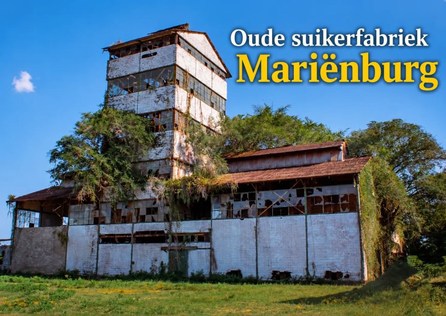 Suikerzoete plannen, bittere oogst