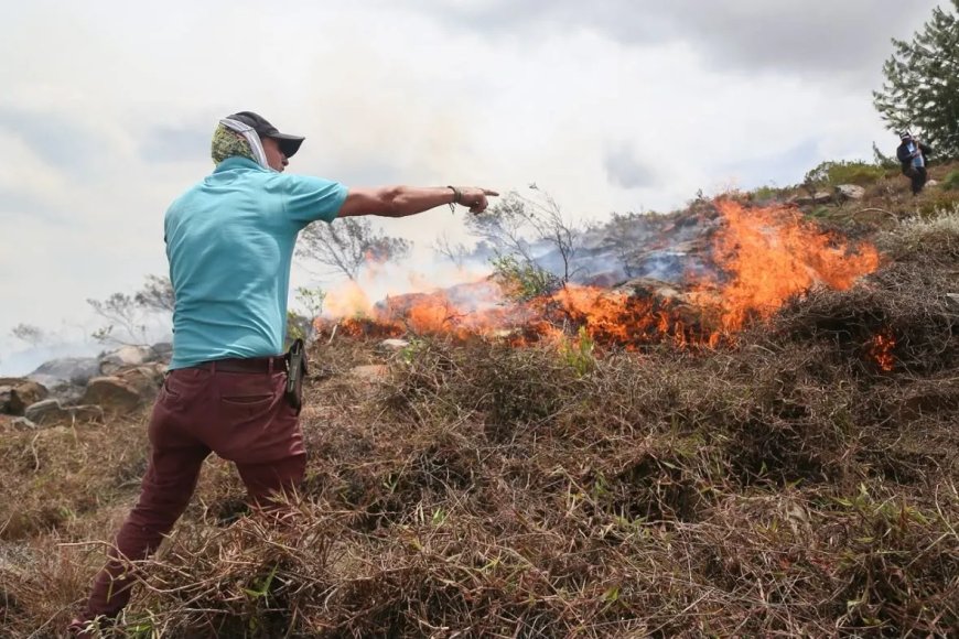Bosbrand bedreigt toeristisch stadje in Colombiaanse Andes