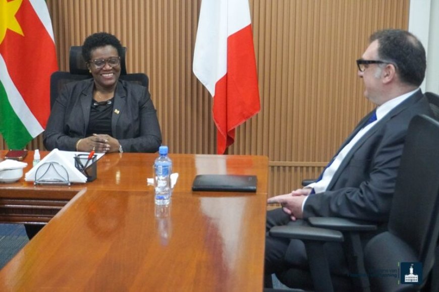 Franse ambassadeur en Financiënminister Wijnerman bespreken bilaterale samenwerking