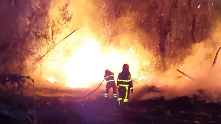 Vlammenzee aan Goedeverwachtingweg: houtafval bedreigt omliggend bos