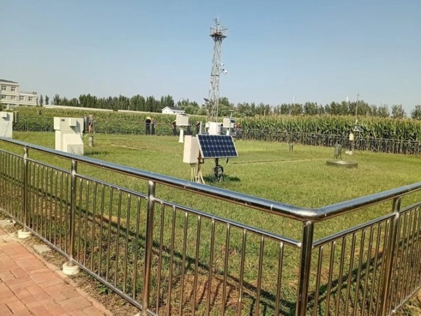 Chinese landbouwtechnologie voor verzilte grond biedt kansen voor Suriname