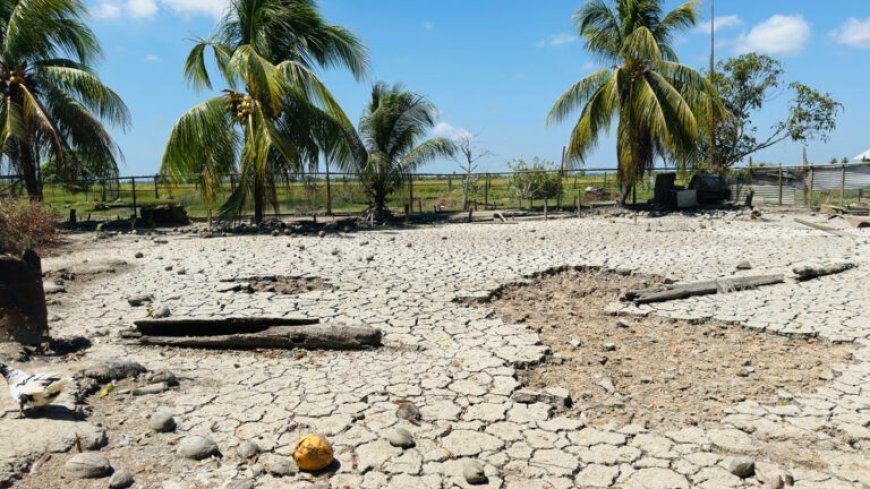 Rijstboeren pleiten voor aanpak waterbeheer en uitvoering Waterschapswet