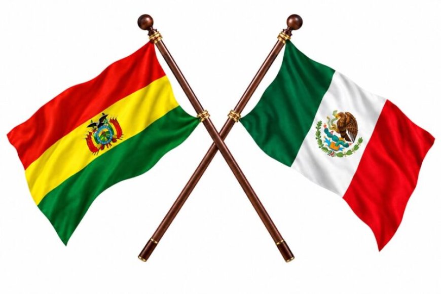 BIS voert visumplicht tijdelijk weer in voor Mexicanen en Bolivianen