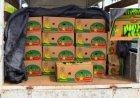 Guyana verbiedt import van Surinaamse bacoven