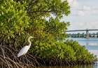 Milieuproject langs Surinamerivier loopt tot 2029