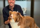 Grote belangstelling voor betaalbaar katten en honden sterilisatie- en castratieproject