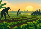 Agrariërs verdienen meer dan één dag van erkenning