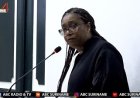 SOVA wijst op belang Constitutioneel Hof te midden van controversiële wetsontwerpen