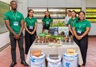Van rijstkaf tot zaailingpot: Surinaamse studenten op wereldpodium