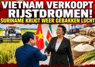 Vietnam verkoopt Suriname rijstdromen: en een bord diplomatieke lucht