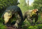 Opmerkelijk – Fossiel in Tanzania blijkt van nieuwe prehistorische diersoort die 240 miljoen 