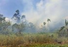 Rookoverlast door bosbrand Commewijne neemt toe