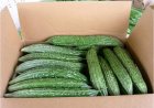 BESCHOUWING — De prijs van een lakse overheid: hoe Suriname zijn groente-export verspeelt