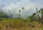 Rook van uitslaande bosbrand Commewijne bereikt Nieuw-Amsterdam, mogelijk ook Paramaribo