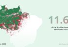 De losbandige wereld van 2026 (7): Verkiezingen in Brazilië: de Amazone en de toekomst van Zu