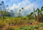 Rook van grote bosbrand in Commewijne bereikt Nieuw-Amsterdam, ook Paramaribo loopt risico
