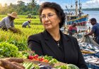 President Simons: “Agrarische sector moet uiterlijk eind 2028 aanzienlijk zijn versterkt”