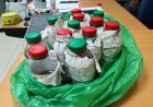 Reizigers proberen verboden dierlijke producten verborgen Suriname binnen te brengen