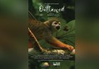 Filmrecensie: Een visueel gedicht dat niet volledig landt
