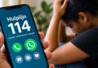 Hulplijn 114 krijgt mogelijk WhatsApp: hulp zoeken zonder te bellen