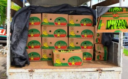 Guyana verbiedt import van Surinaamse bacoven