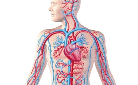 Cardioloog waarschuwt voor toenemende hart- en vaatziekten onder jongeren