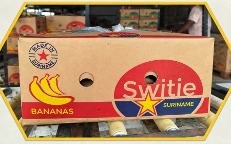 Guyana zet rem op Surinaamse bananen: “Onze boeren hebben genoeg”