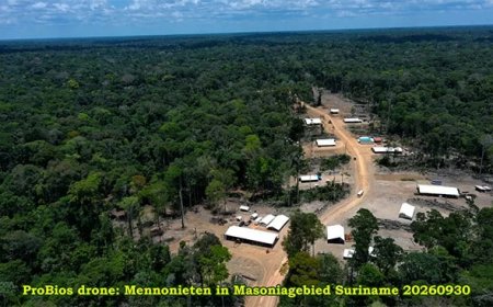 Sleur: Mennonietenkamp Masonia ligt buiten concessiegebied