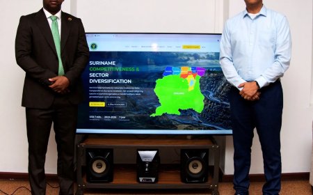Nieuwe website SCSD