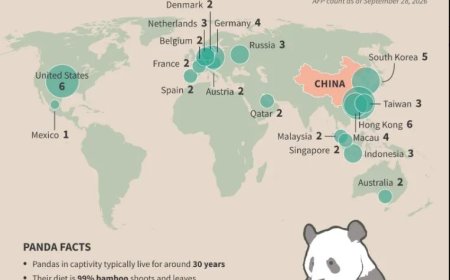 Panda’s als ambassadeurs van China