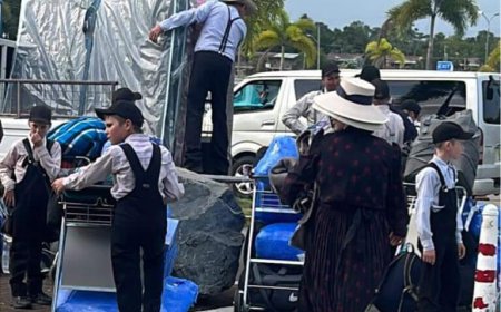 DE MENNONIETEN VAN DE NDP