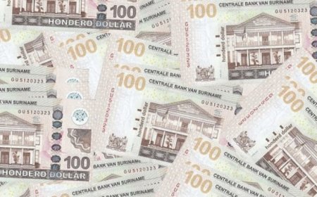 Nederlander betaalt SRD 120.000 na poging vogelsmokkel