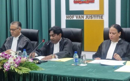 DNA-voorzitter Adhin: ‘Hof van Justitie mag rekenen op verdere afstemming over modernisering 