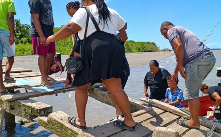 Loopbrug Leonsberg zwaar vervallen, bootsmannen vrezen voor veiligheid passagiers