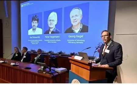 Nobelprijs Geneeskunde 2026