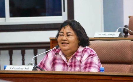 Jennifer van Dijk-Silos licht parlement toe over evaluatie money laundering