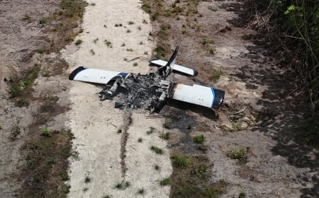Illegale landingsbaan en uitgebrand vliegtuig ontdekt in Goliathgebied