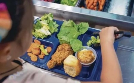 316 scholen doen mee met schoolvoeding