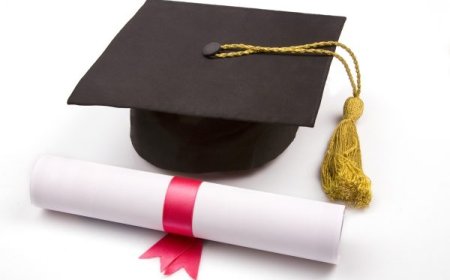 EEN DIPLOMA EN DAARNA FRUSTRATIE?